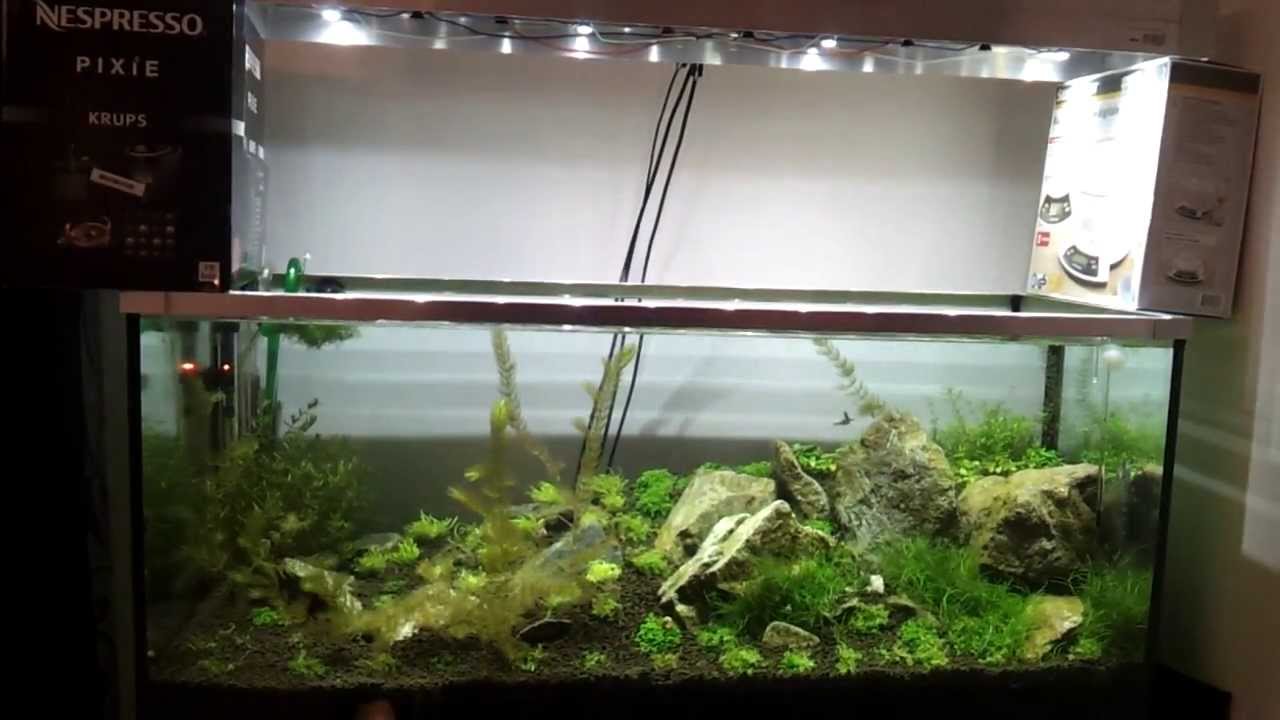 Rampe led lumi-box