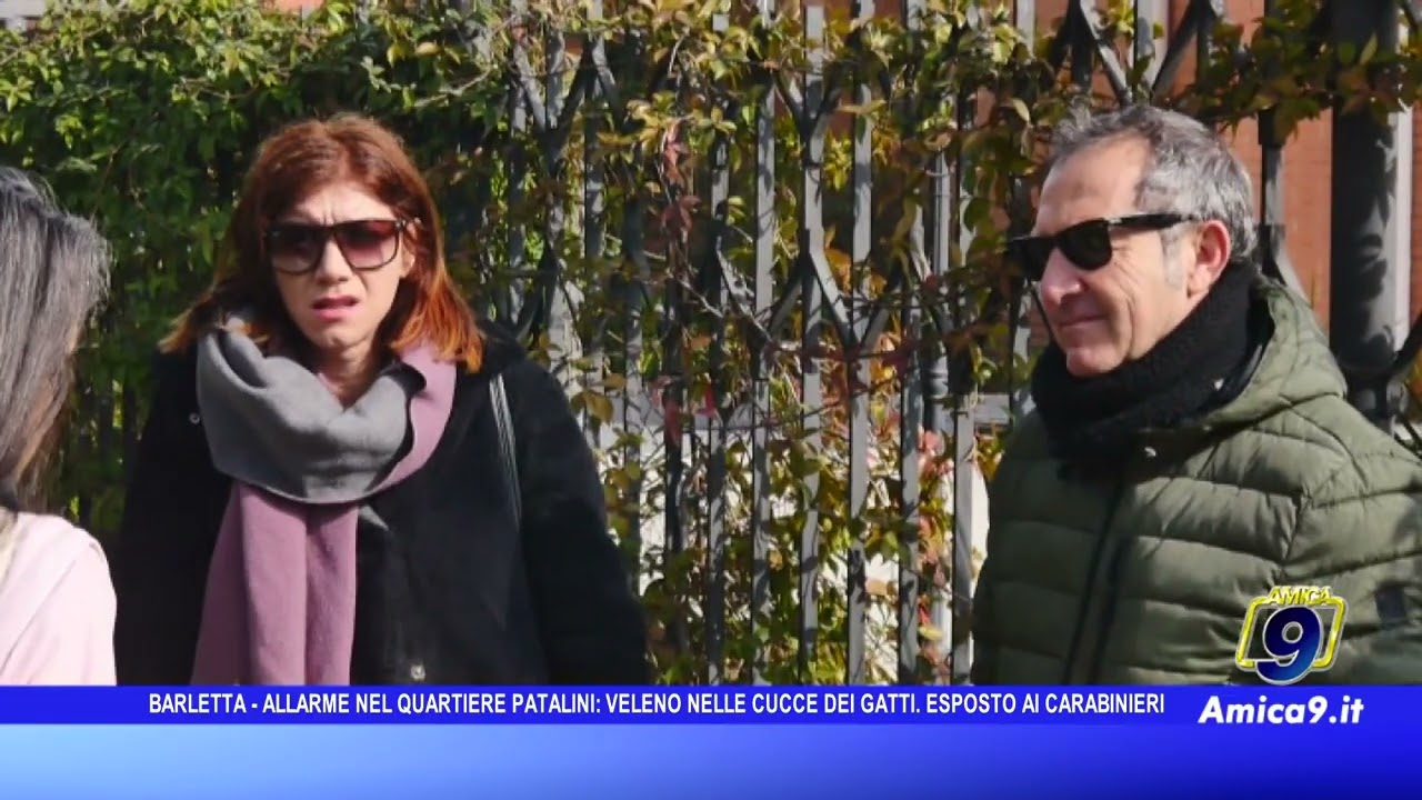 Barletta - Allarme nel quartiere Patalini, veleno nelle cucce dei gatti. Esposto ai carabinieri