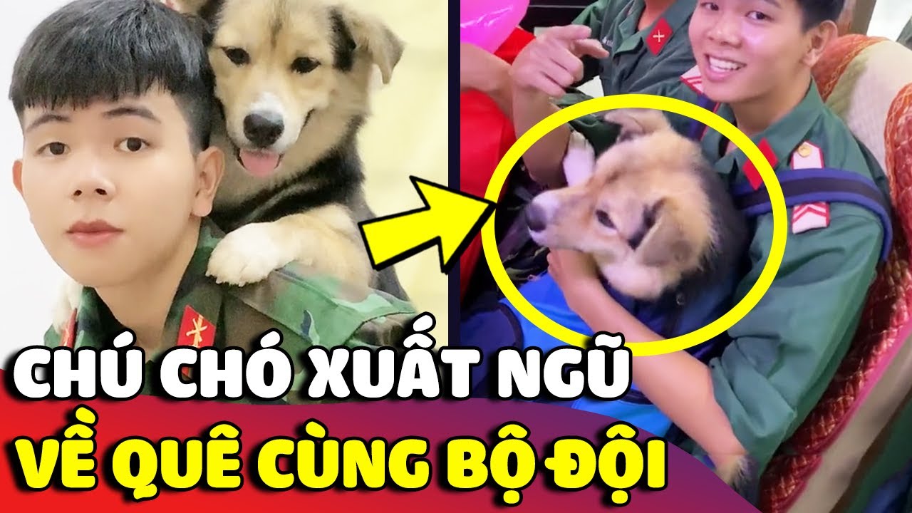 Chú chó số hưởng được 'CHÚ BỘ ĐỘI' bế theo về quê trong ngày ra quân 😅 | Gâu Đần