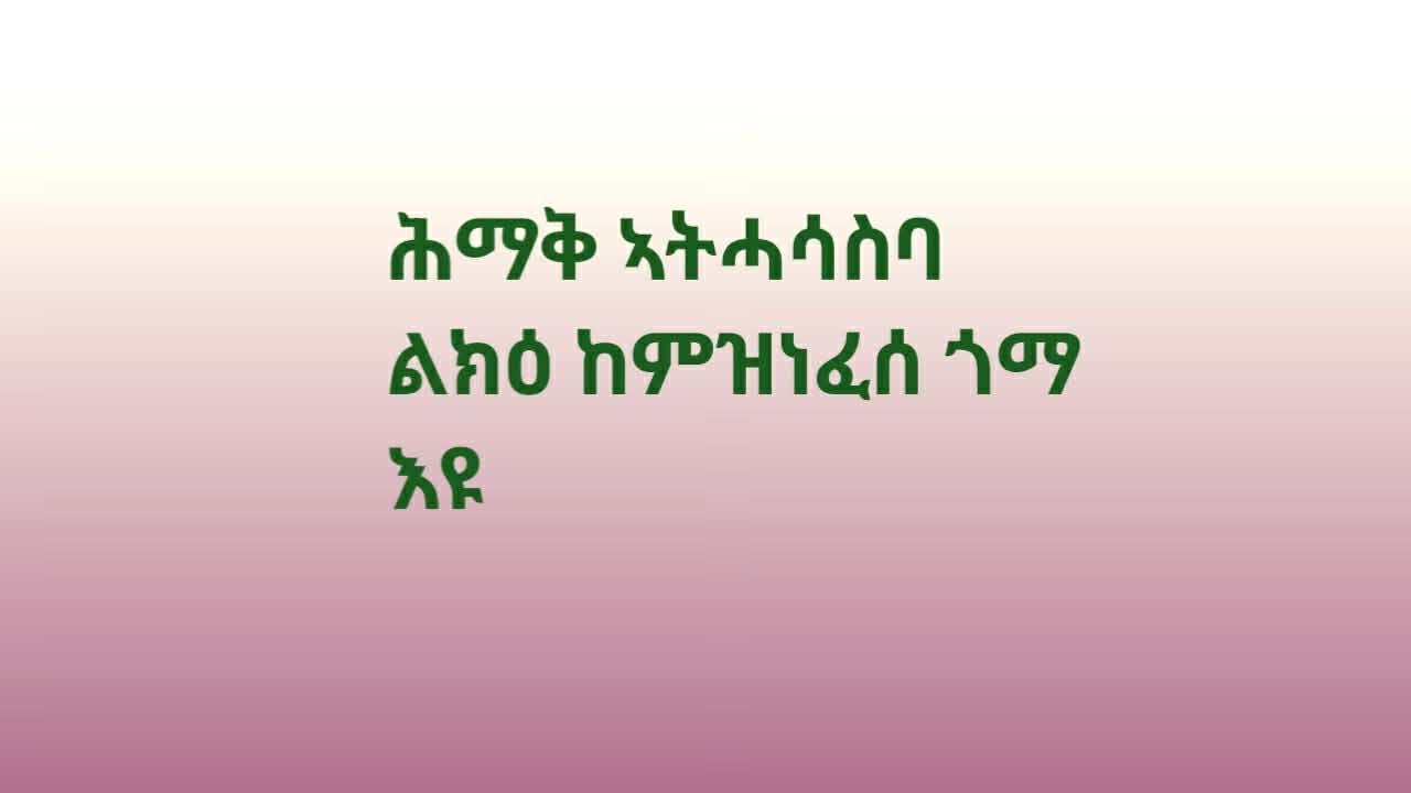 TiTi channel (ቲቲ ቻነል) is live