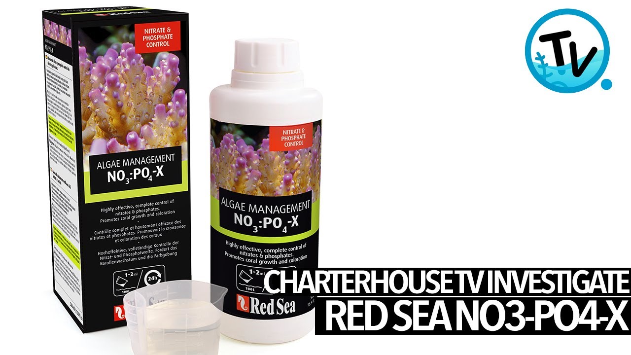 Телекомпания Charterhouse TV проводит расследование по изучению NO3-PO4-X в Красном море.