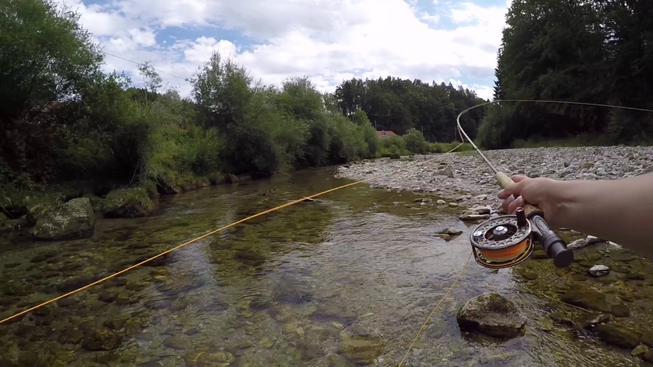 Wei&szlig;e Traun Siegsdorf August 2016