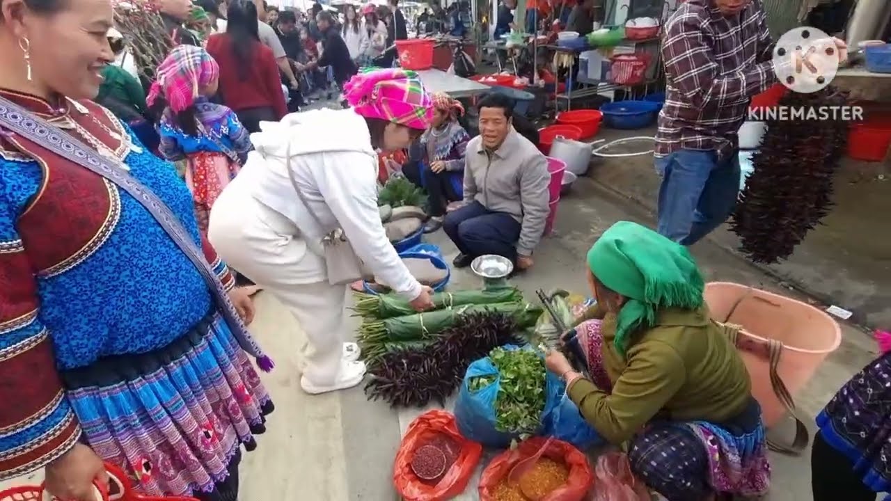 Chợ Phiên Bắc Hà Mới l Đọc Lạ Chợ Phiên Xã Bắc Hà Bán Toàn Thảo Dược Quý Hiếm 