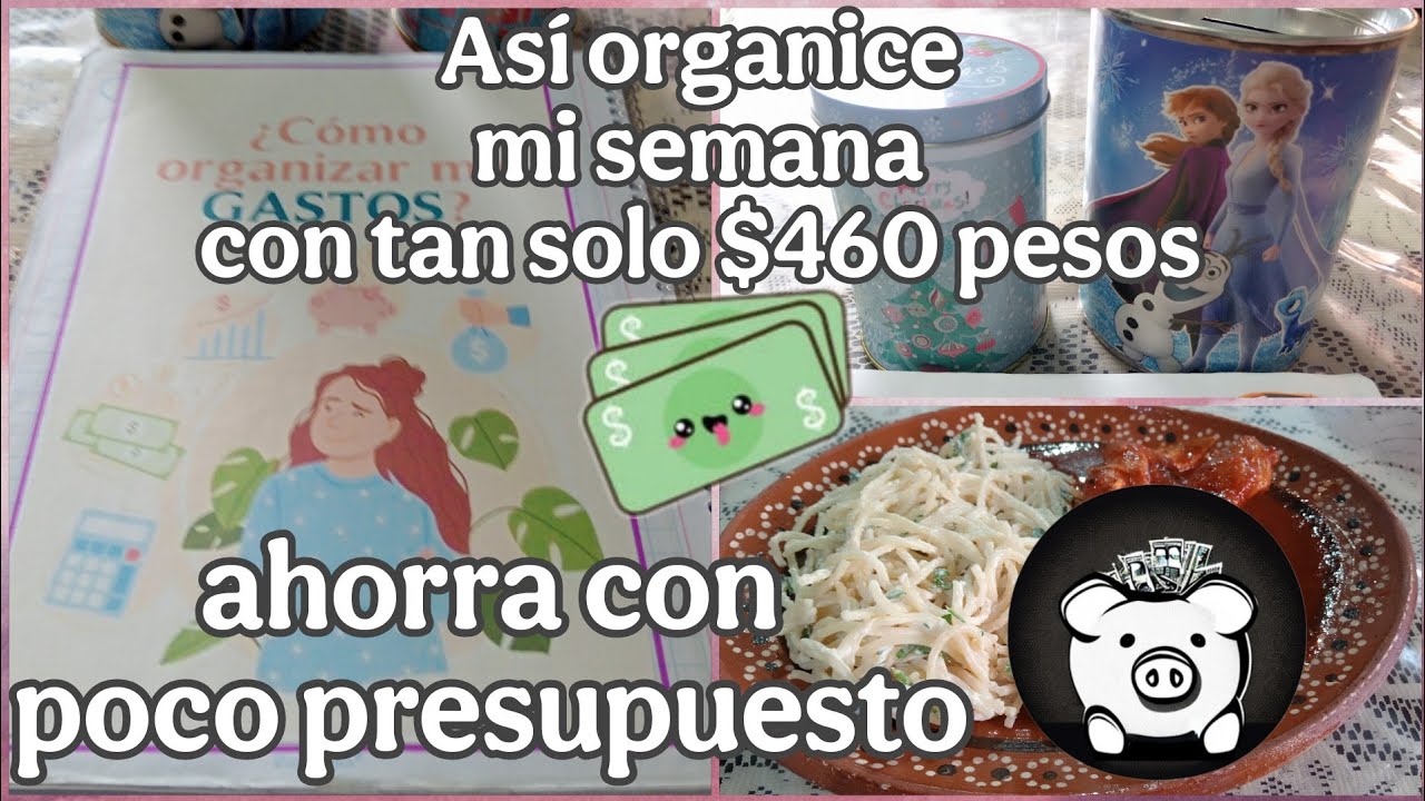 💰ORGANIZATE Y AHORRA CON POCO PRESUPUESTO 💵 ORGANIZACIÓN CON TAN SOLO $460 PESOS MX 😱