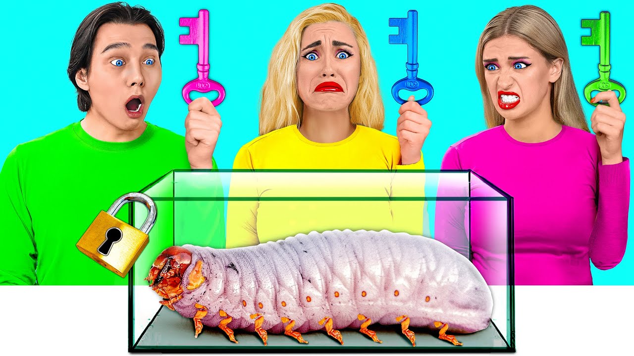 Desaf&iacute;o Elija El Clave Correcto por Multi DO Food Challenge