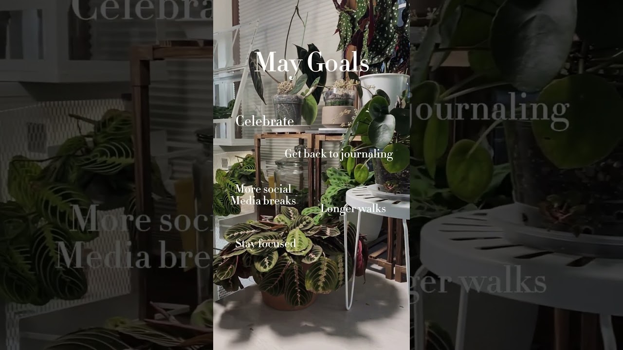 Hello May!  #plants #goalsetting #goals