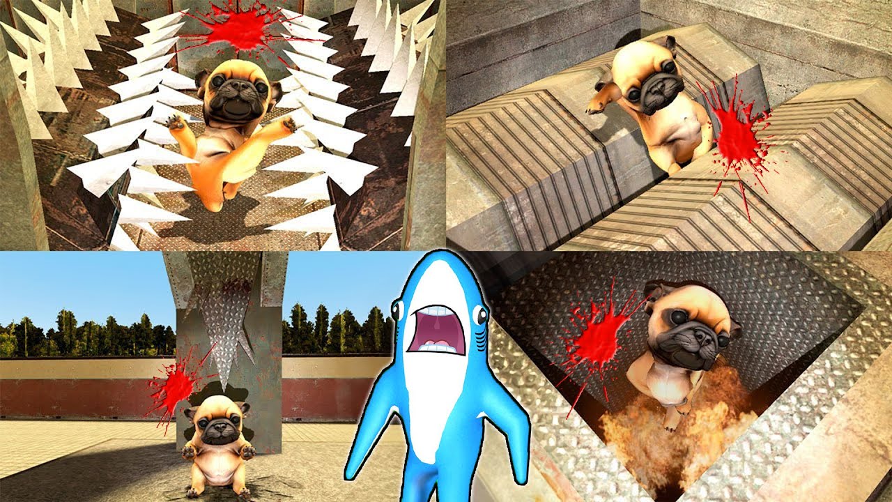 DRACULASS IL TORTUREAZA PE PIBBLE LA TOCATORUL DE CARNE! SAMMY IL SALVEAZA PE PIBBLE!!! *EPIC*