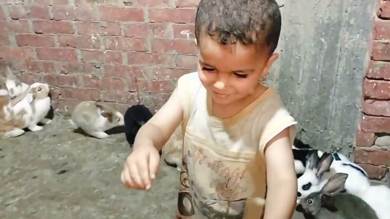 محدش بيختار يعيش مرتاح لكن ال علينا بنعمله خلاص بعت البطاريت ونهيت على نفسى 😥