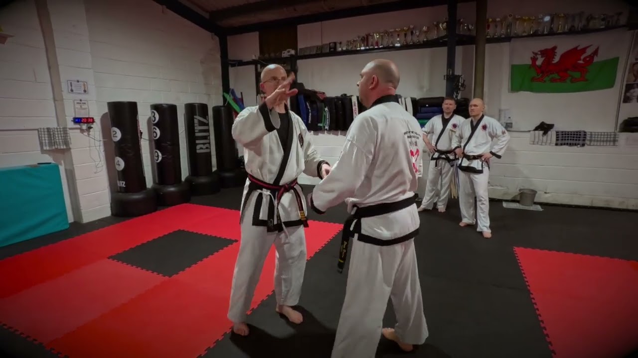 Bunhae Wednesdays - Bassai (Mountain Double Punch)