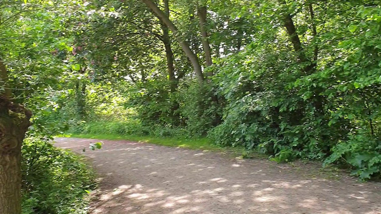 Natur-See-360 Grad Drehung