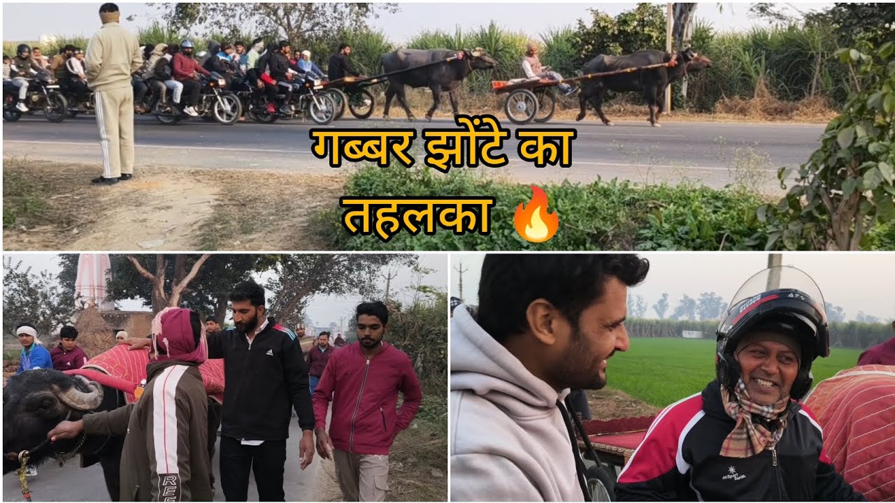 अमित दरीशपुर Vs मुकुंद दरीशपुर का प्यार का गेम विनर मुकुंद दरीशपुर  का गब्बर झोंटा 🔥@KapilTomar_07 
