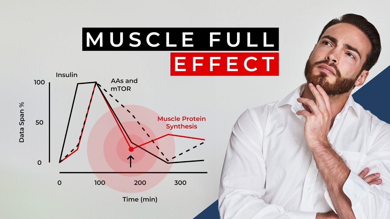 Can the body only absorb 20 g protein per meal? [Science]
