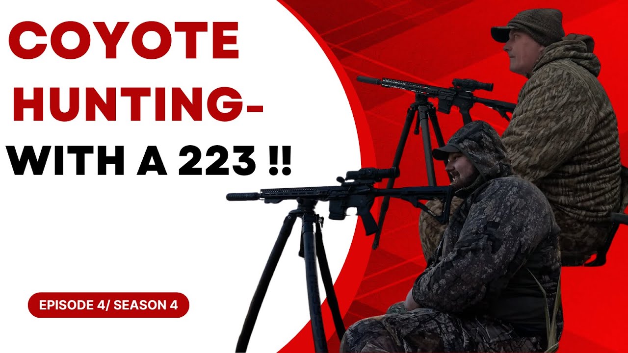 Coyote Hunting with a Suppressed 223!