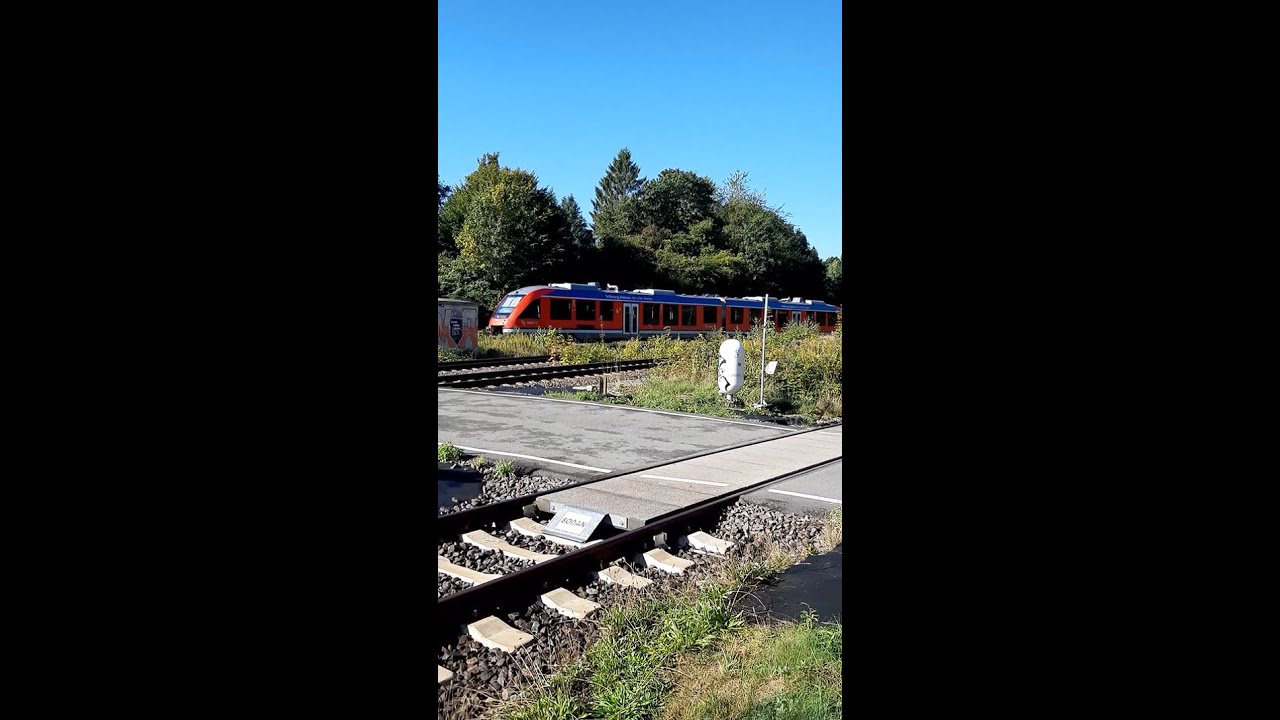 🚆 Triebwagen Lint DB 648 f&auml;hrt am B&uuml; Sieversdiek in Kiel als RB 84 in Richtung Kiel-Hbf