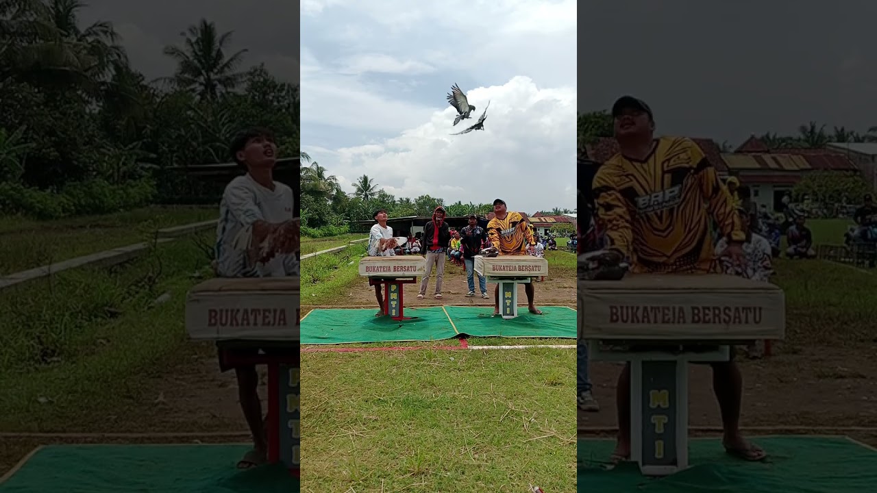 7 Februari 2026