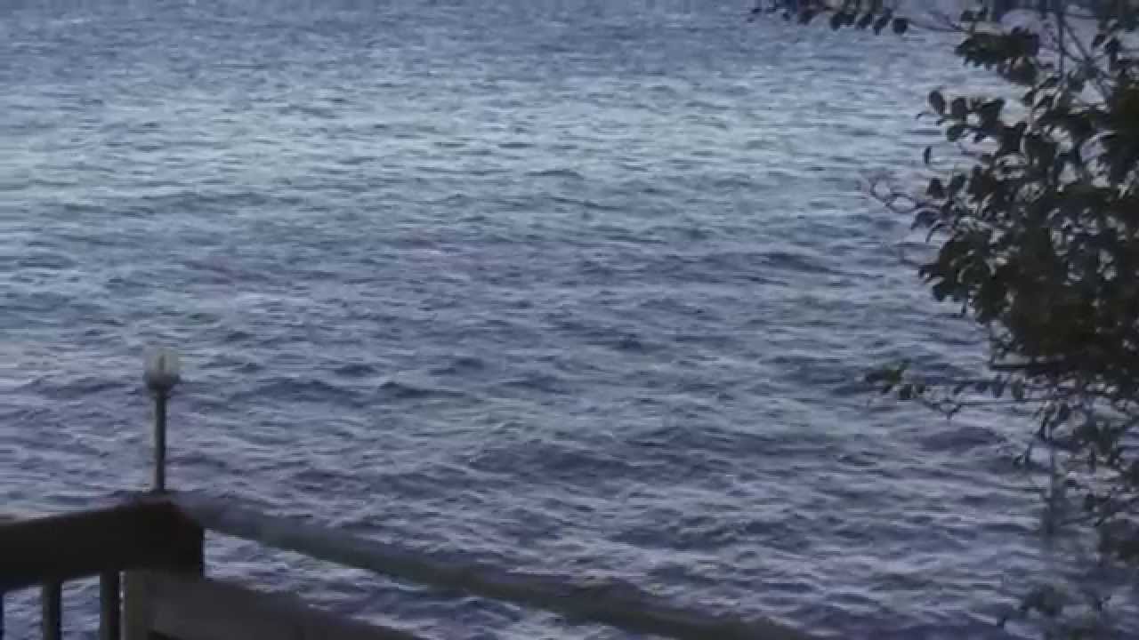 St. Johns River Flows and Currents