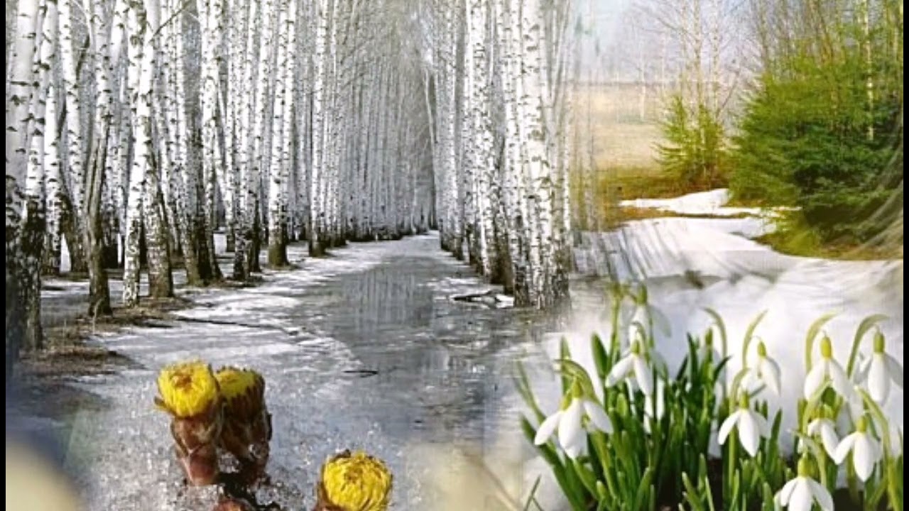 Оттепель (The thaw) 