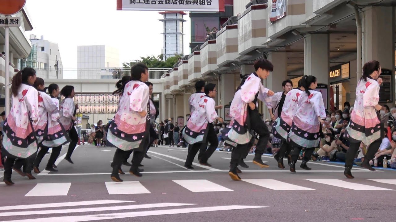 【4K】にいがた総おどり WM国際こども・福祉カレッジ 2022.09.18