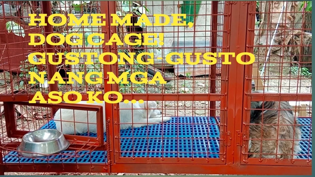 Home made Dog Cage..Simpli lang..Part2..#viralvideo  #roadtomonetization  #thanksGod