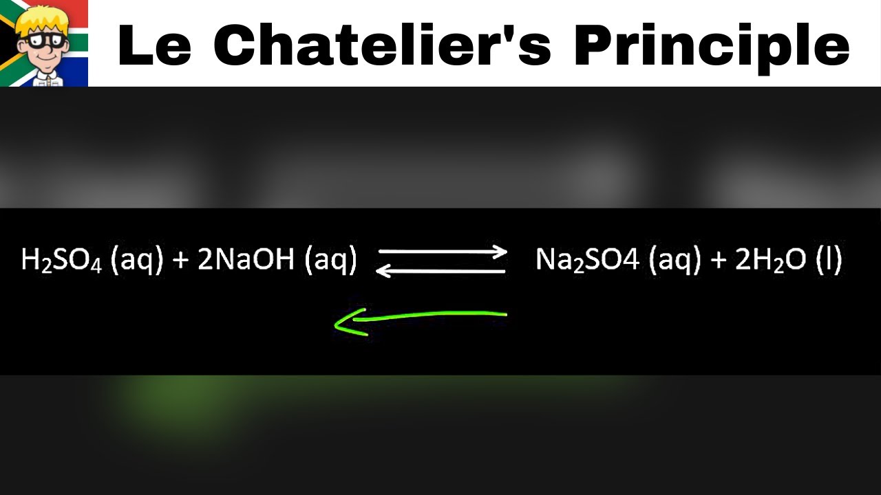 Le Chatelier's Principle grade 12: Introduction