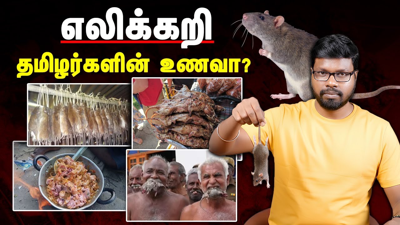 தமிழ் நாட்டில் சர்ச்சை உணவு வரலாறு | Rat Meat Shocking Food History | Big Bang Bogan