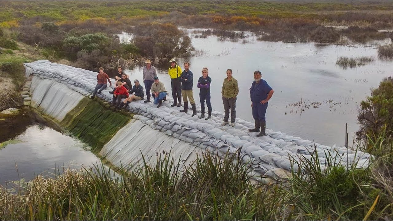 Wetland restoration case studies. Discovery Bay Coast SA/Vic. Mark Bachmann
