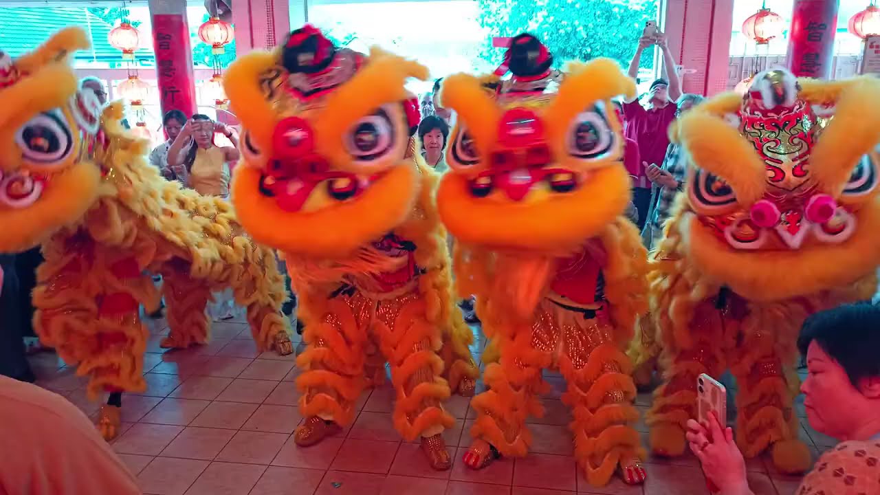 Lion Dance - Unleashing the roar of tradition. 🦁🔥