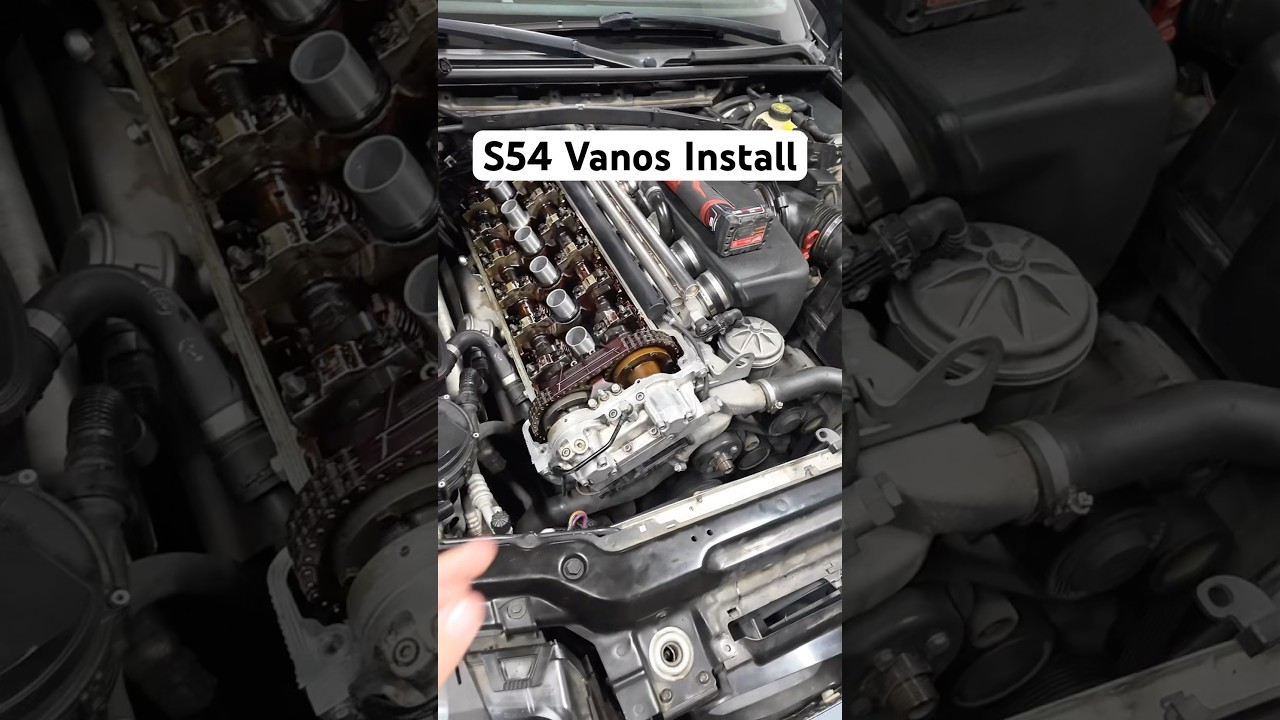 Upgrading the Vanos in my E46 M3 with @getvanosparts new unit! #e46 #e46m3 #m3 #s54 #vanos #beisan