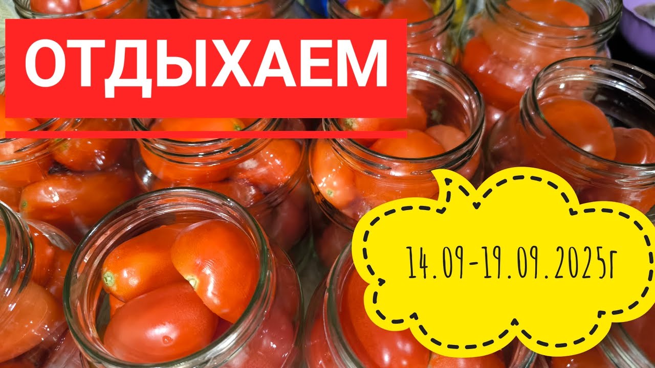 Бабье лето в Сибири#влог#дача#жизнь 