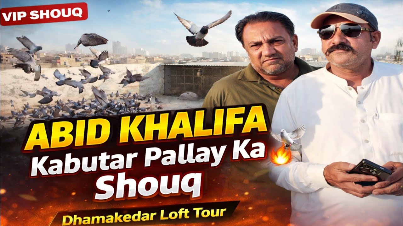 Abid Khalifa Ka Desi Kabutar Setup 😱 | Lambi Ka VIP Shouq + Sedi Ko Challenge 🔥