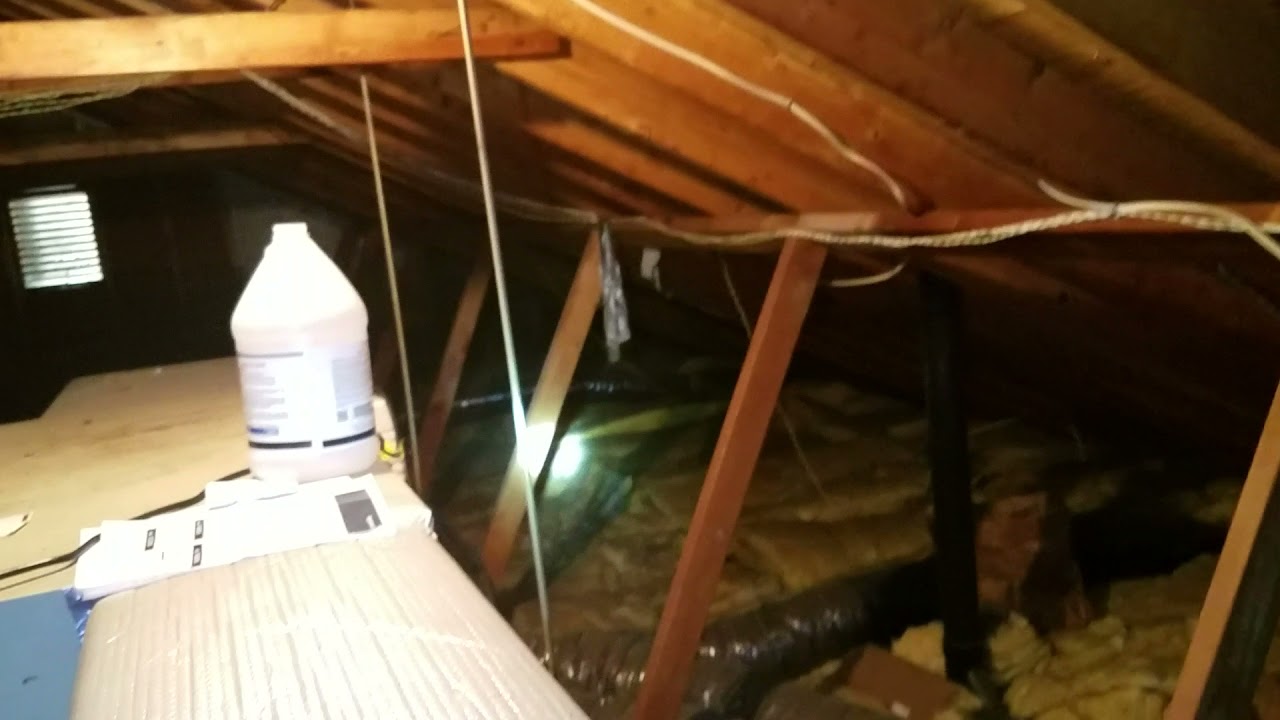 Attic Contamination Inspection June 15  Flemington NJ - 732-698-8387