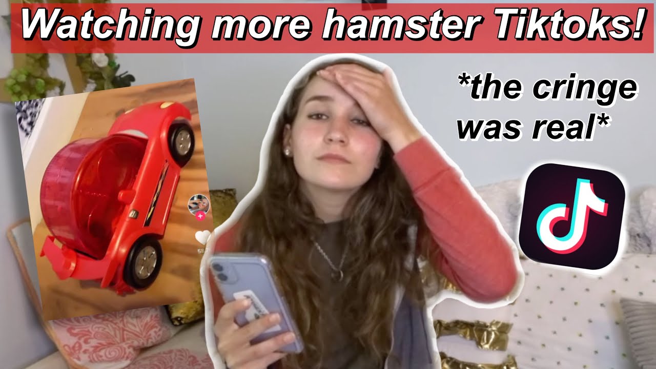 Reacting to Hamster TikToks Part 2!