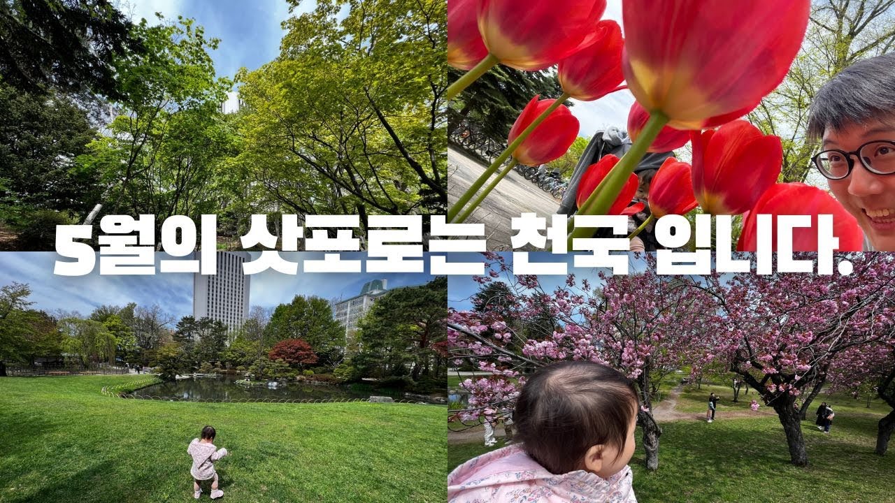 현지인이 추천하는 5월에 삿포로를 와야하는 이유. 아니 삿포로에 살아야하는 이유. #나카지마공원 #벚꽃놀이 #삿포로여행 #홋카이도여행 #삿포로브이로그 #일본브이로그