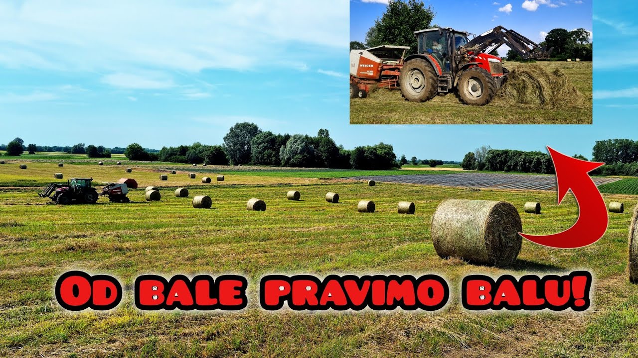 Prvo ovogodišnje sijeno!