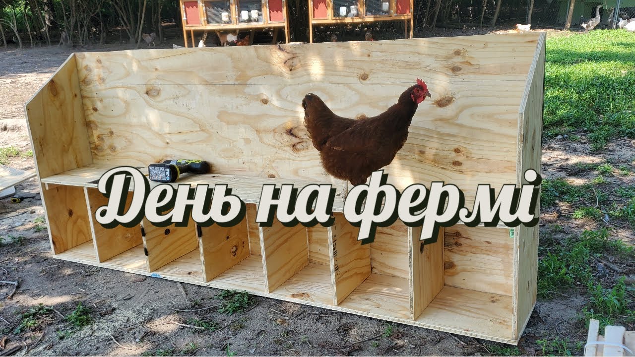 День на фермі. Будуємо нові гнізда для курей, робимо автоматичну поїлку, насолоджуємося вечором