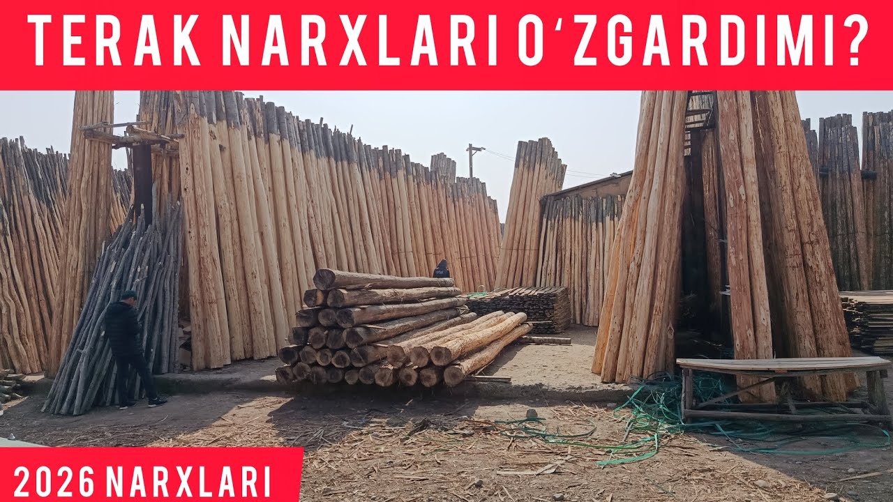 TERAK NARXLARI 2026