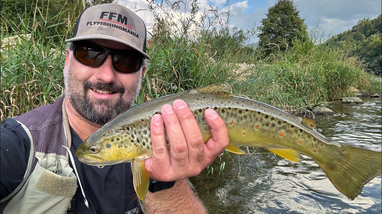 Summer Fishing in river Dunajec