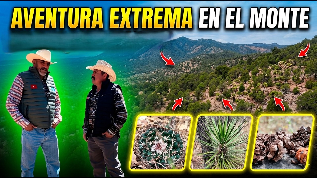 HOY PLATICAMOS CON HOMERO PUENTE DE MI QUERIDO ZACATECAS Y NOS PLATICAN COMO COMENSO SU CANAL