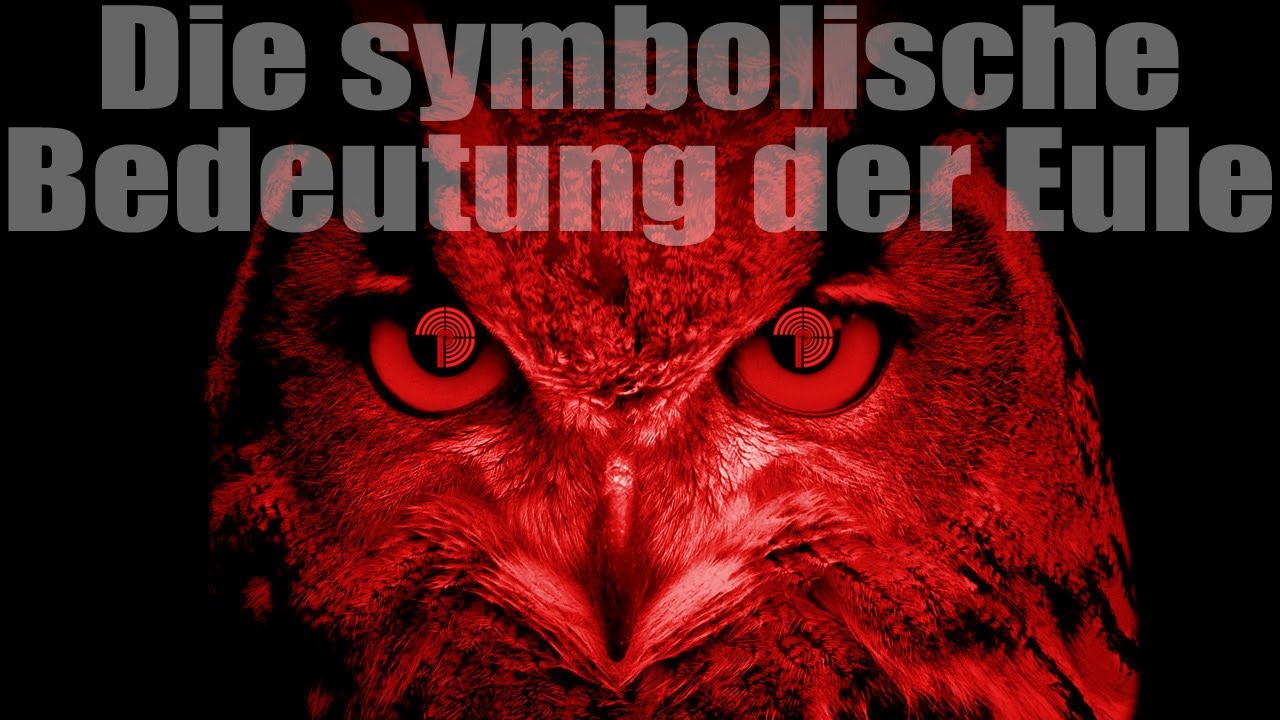 Die symbolische Bedeutung der Eule | Auch im Bezug auf Ostern