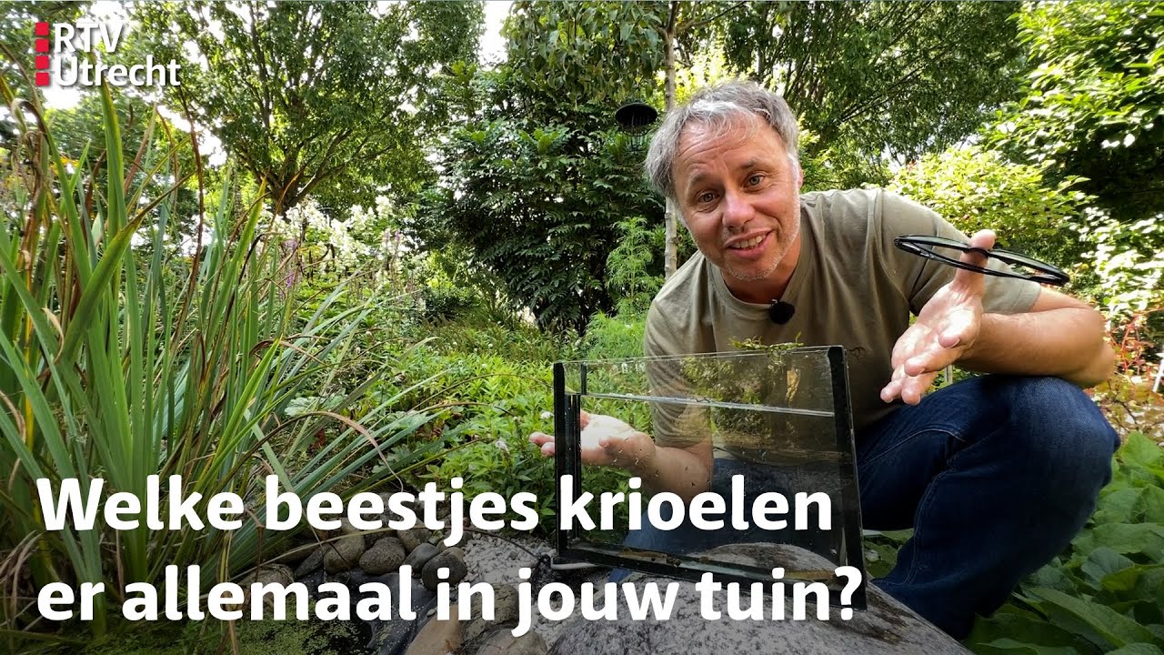 Luc's Tuinsafari: Bioloog Luc laat je de parels zien uit jouw eigen tuin | RTV Utrecht
