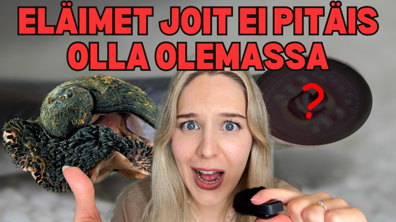 ELÄIMET JOIT EI PITÄIS OLLA OLEMASSA