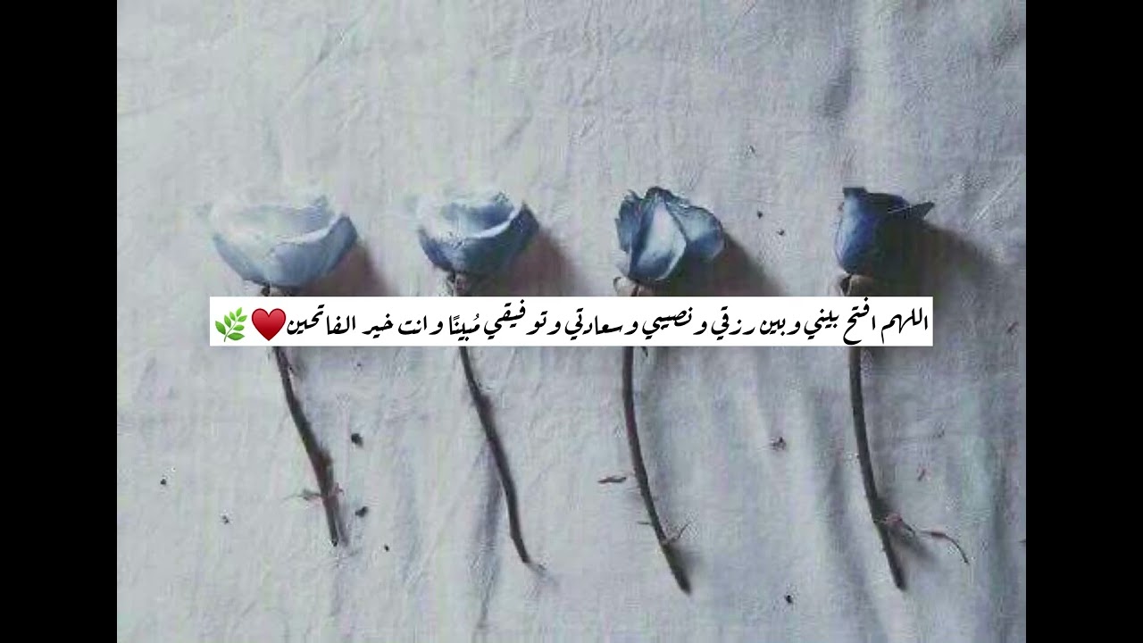 تلاوه خياليه تدخل القلب  من سوره البقره  القارئ صلاح الباجي