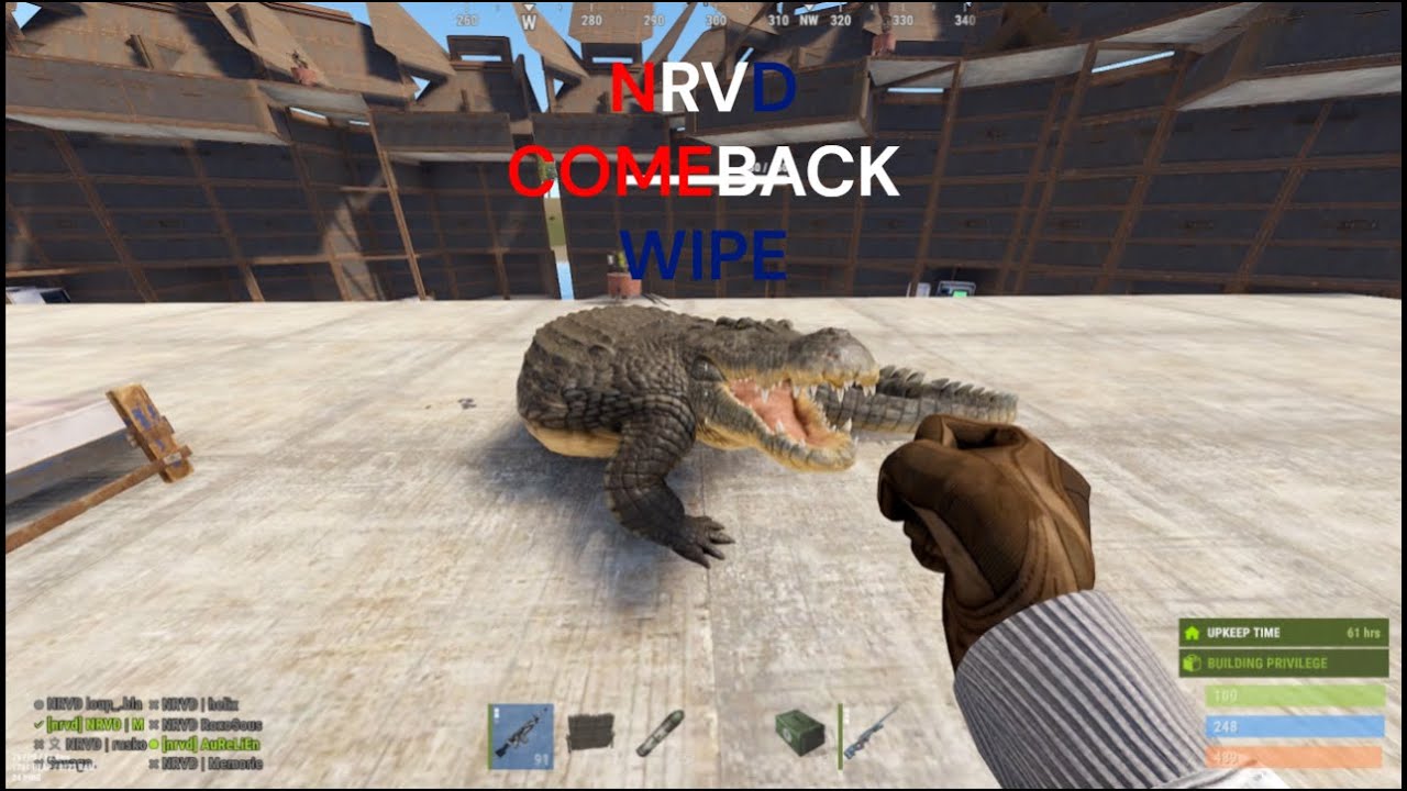 HOW NRVD DESTROYED on their COMEBACK WIPE