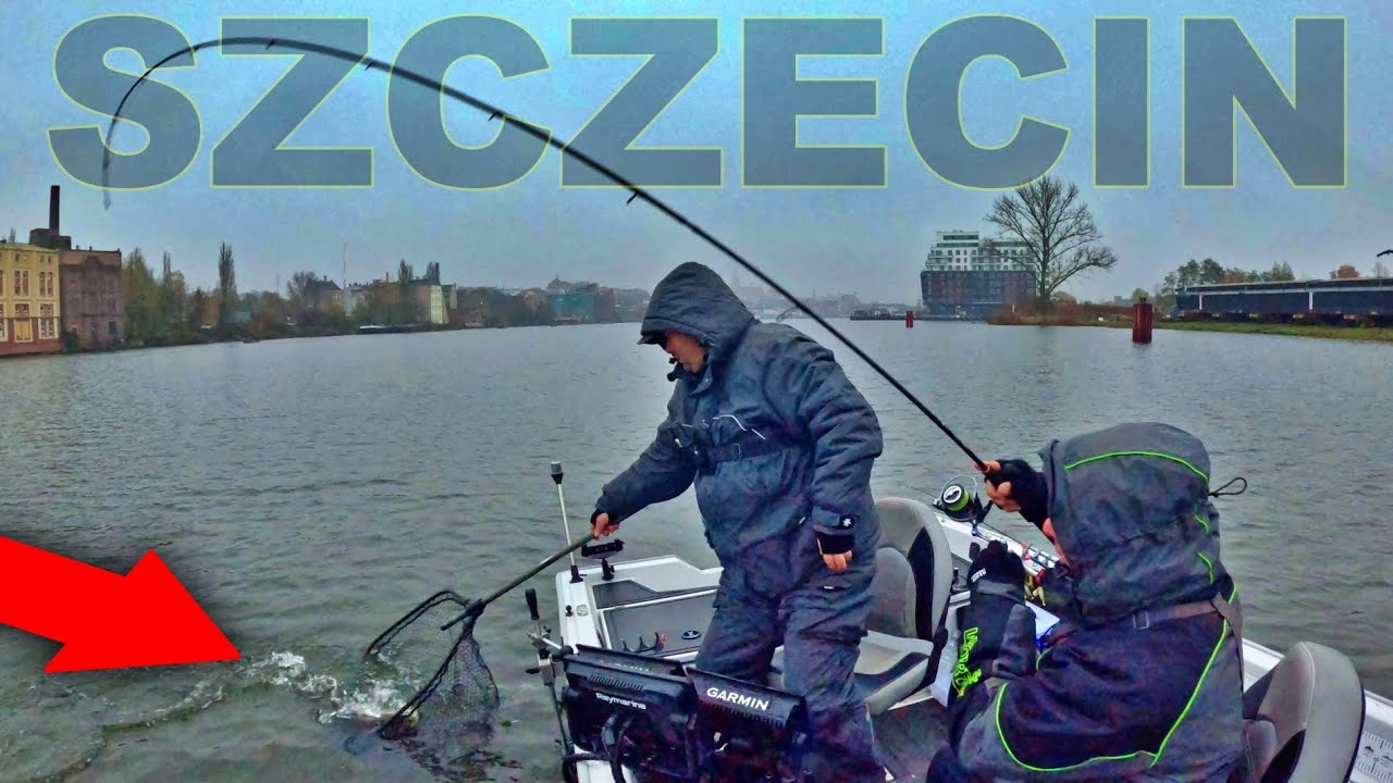 Te ryby są naprawdę niesamowite  - Sandacze ze Szczecina !!!