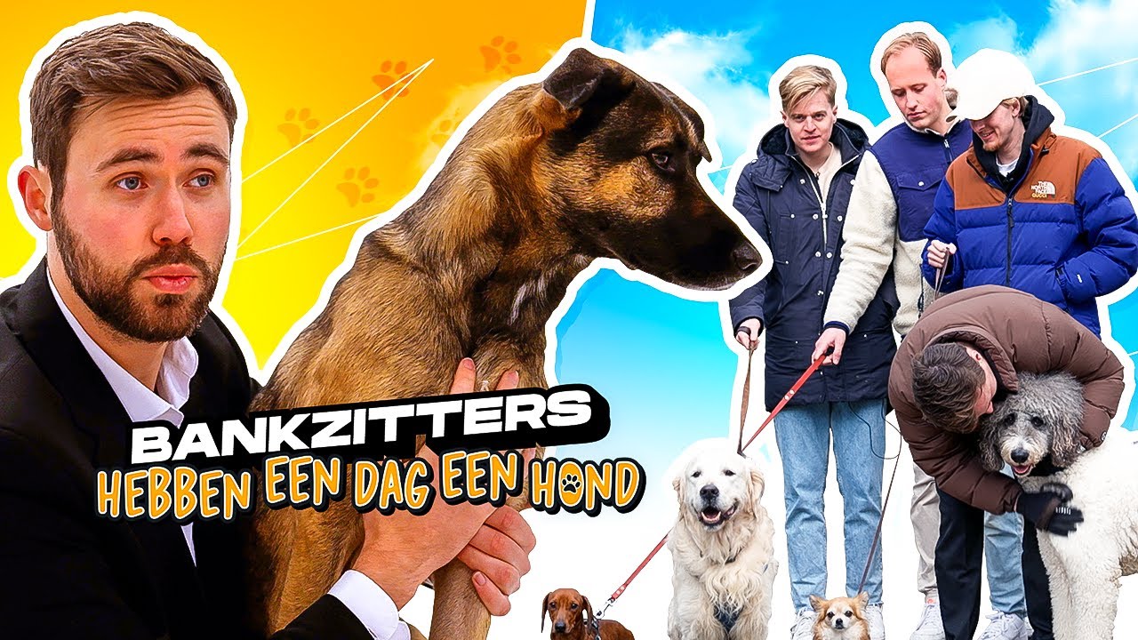 BANKZITTERS HEBBEN VOOR &Eacute;&Eacute;N DAG EEN HOND