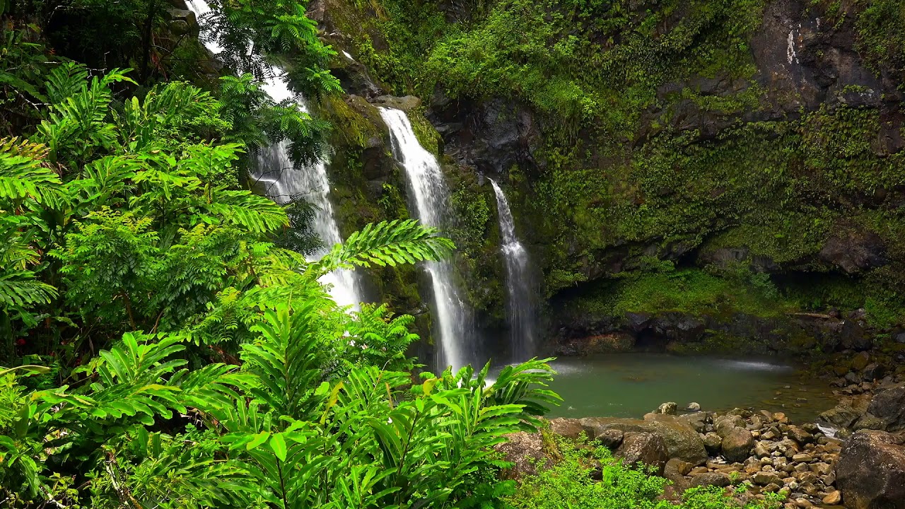 10hr Beautiful Hawaiian Waterfall - Relaxing Waterfall Sounds for Meditation,Relaxing,Sleeping,Study