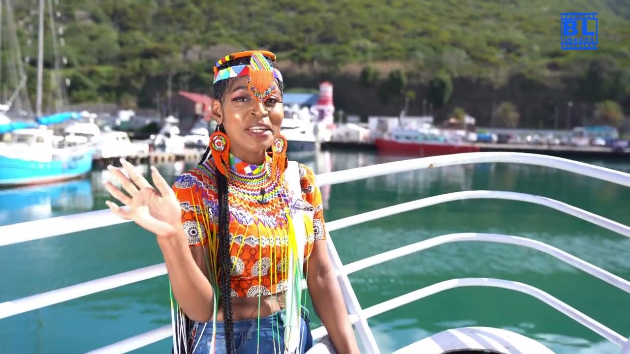Seal Island Cruise REVEALED: South Africa's Wild Beauty Exposed!