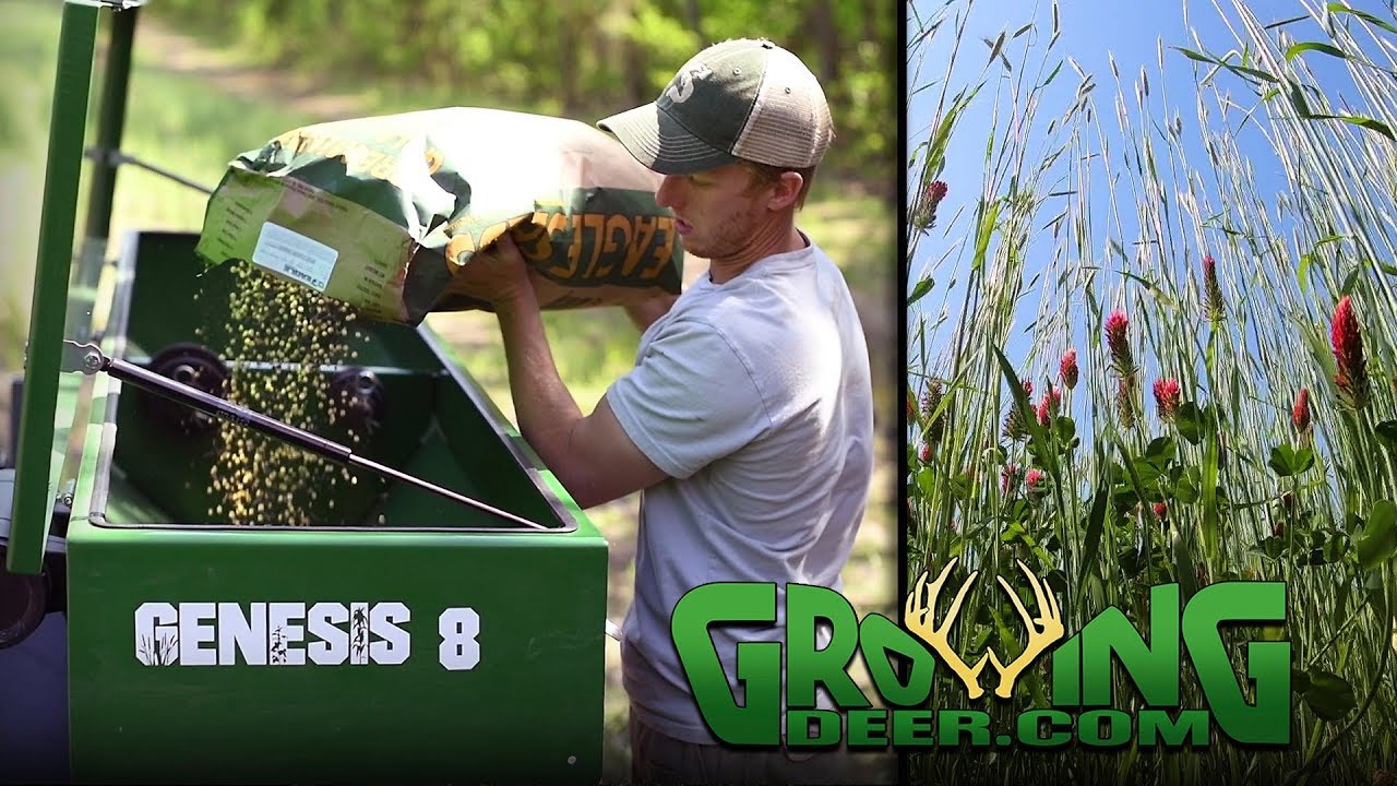 Food Plots and Native Browse | Best Whitetail Forage (#443)