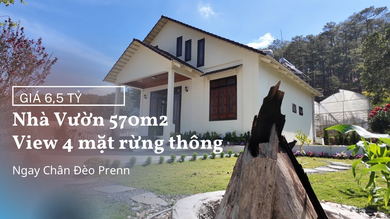 Nhà Vườn View 4 Mặt Rừng Thông Đà Lạt | 570m² Ngay Chân Đèo Prenn Chỉ 6,5 Tỷ