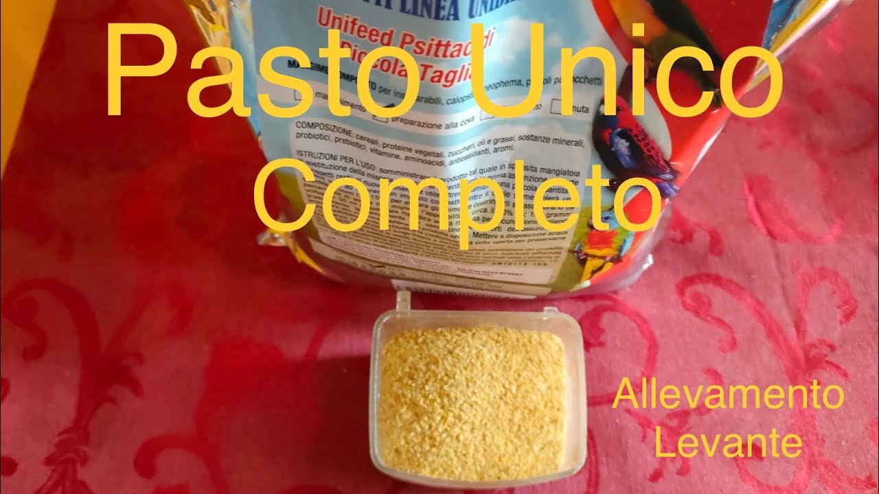 UNIFEED #1 - Pasto Unico Completo